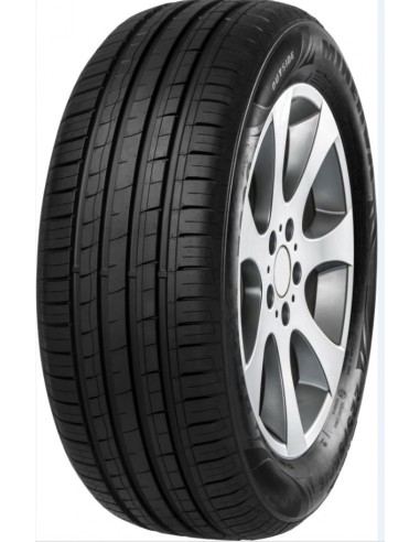 Pneumatico MINERVA 195/60 R16 89V F209
