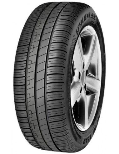 Pneumatico GOODYEAR 205/55 R16 91V EFFICIENTGRIP PERFORMANCE (FIAT)